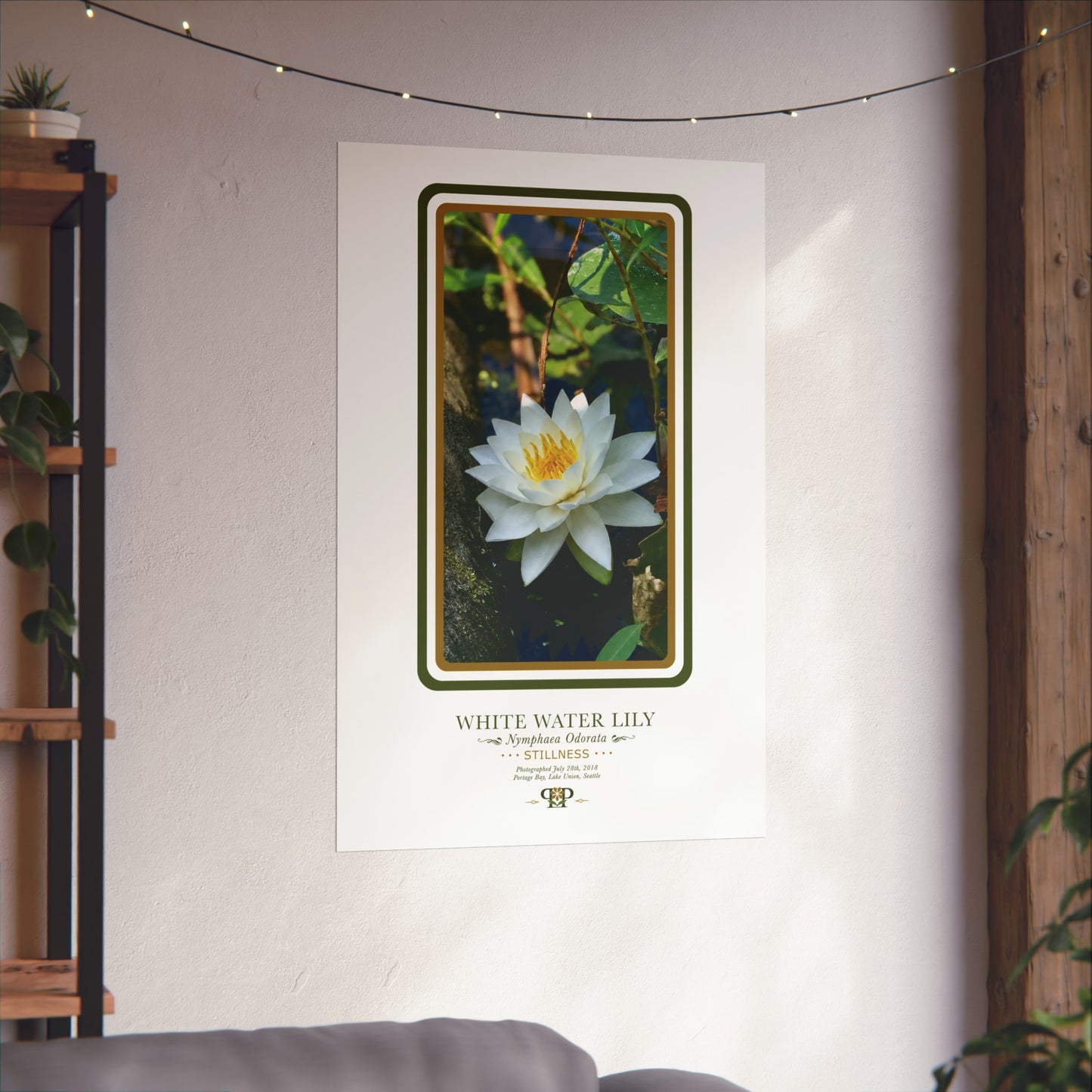 White Water Lily Fine Art Poster | Botanical Wall Art | Stillness Nature Print