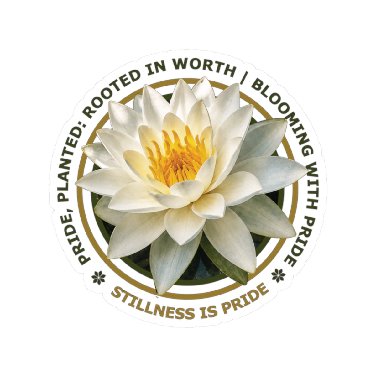 "Stillness Is Pride" Vinyl Sticker - Pride, Planted: Rooted in Worth collection.