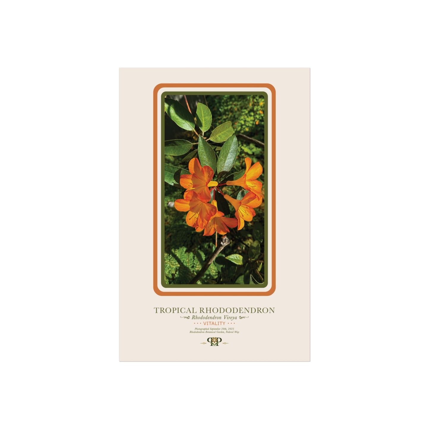 Orange Azalea Fine Art Poster | Botanical Wall Art | Vitality Nature Print