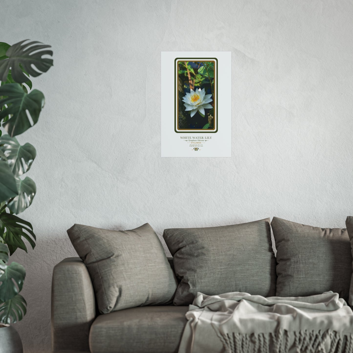 White Water Lily Fine Art Poster | Botanical Wall Art | Stillness Nature Print