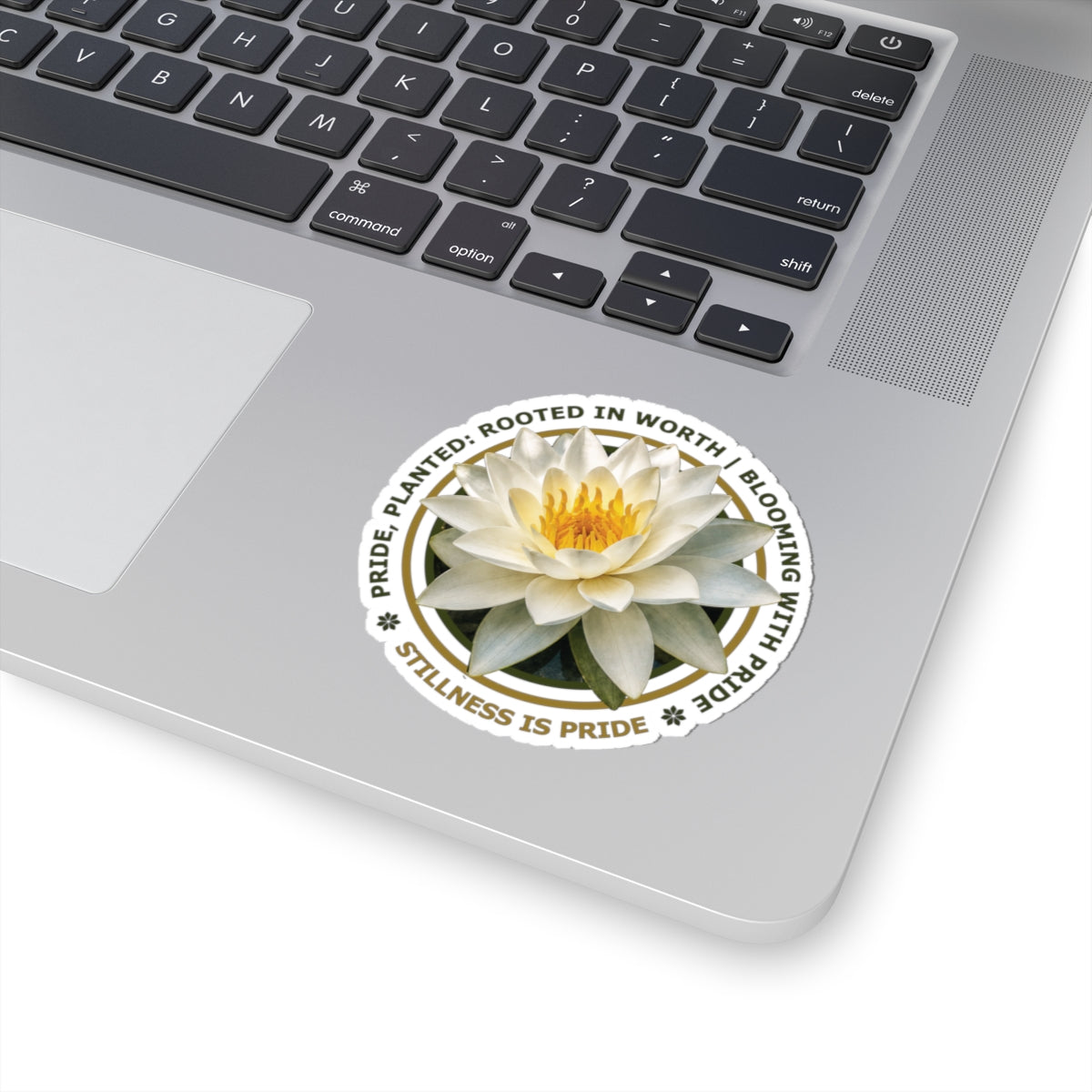 "Stillness Is Pride" Vinyl Sticker - Pride, Planted: Rooted in Worth collection.