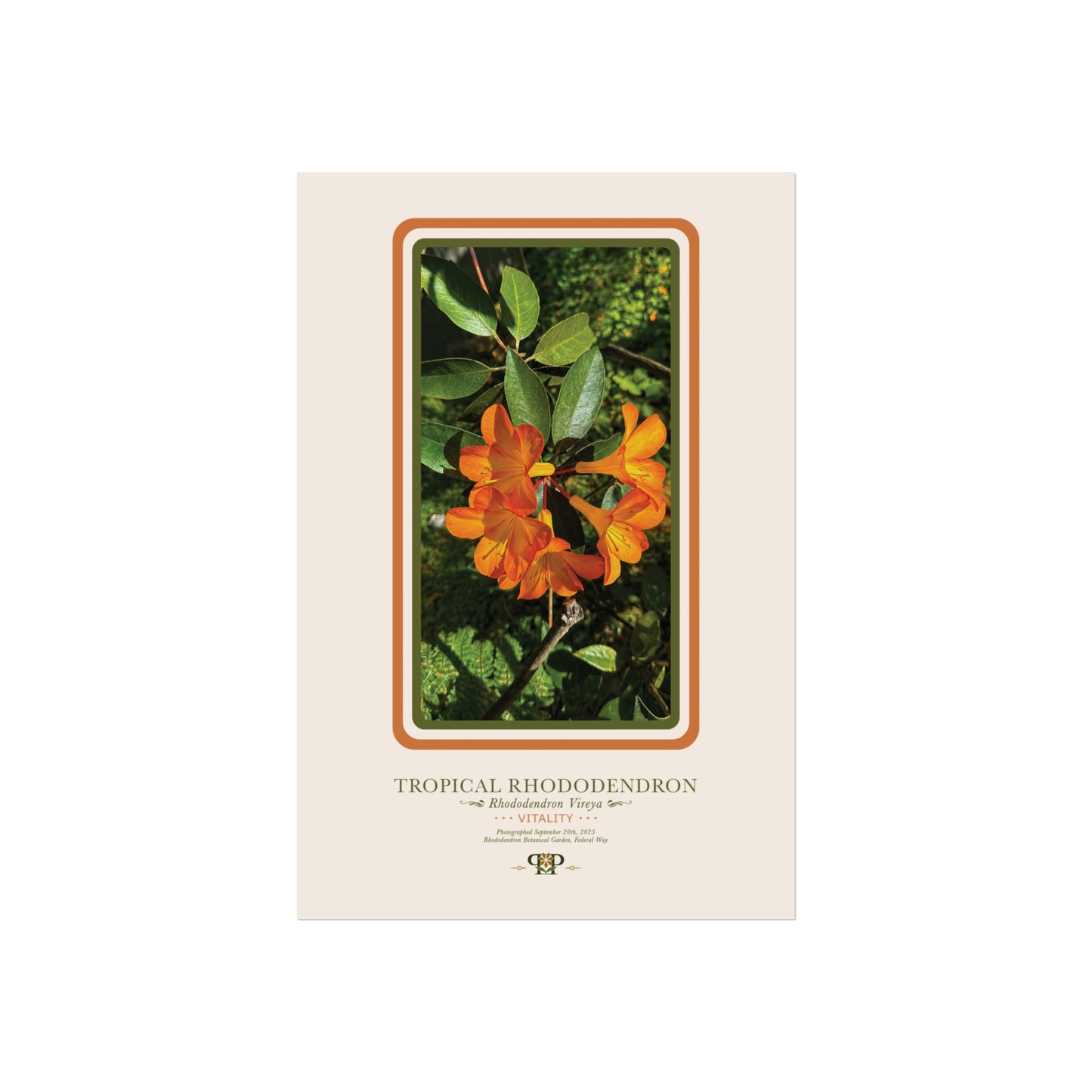 Orange Azalea Fine Art Poster | Botanical Wall Art | Vitality Nature Print