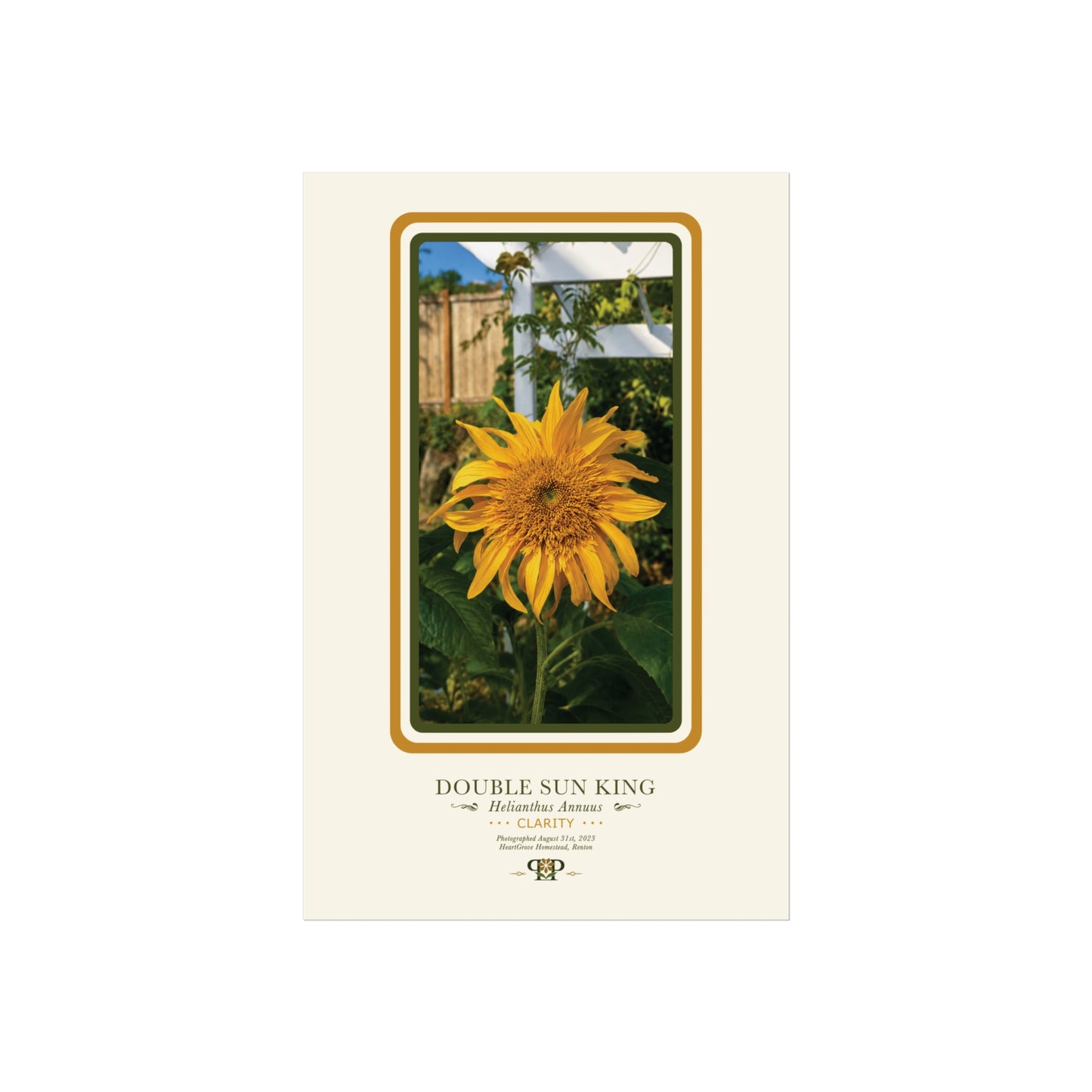 Yellow Sunflower Fine Art Poster | Botanical Wall Art | Clarity Nature Print