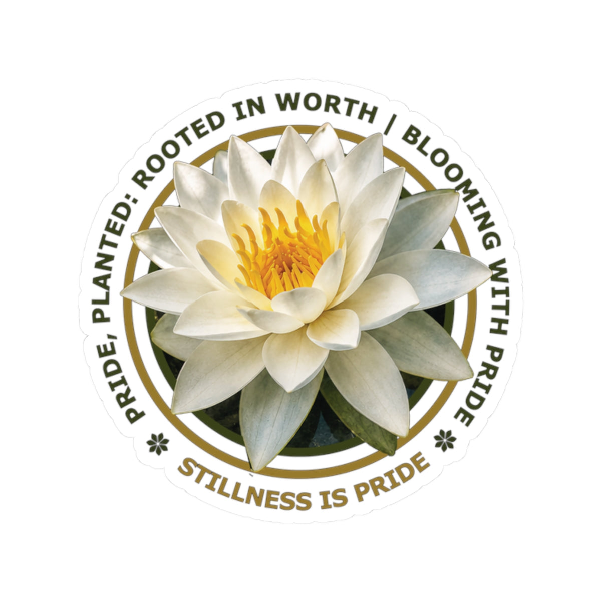 "Stillness Is Pride" Vinyl Sticker - Pride, Planted: Rooted in Worth collection.